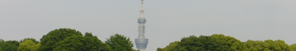 うさぎが大変なことになっています。